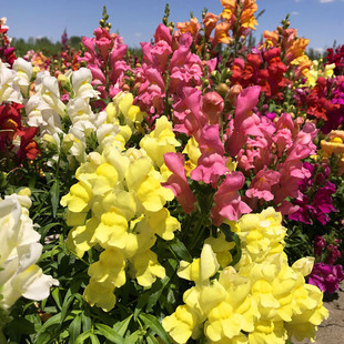 �������~�ݷN�����^�����ȸ�@�־��^�G�������҃����̨ͥԺ����