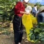 显瘦秋冬连帽休闲毛衣