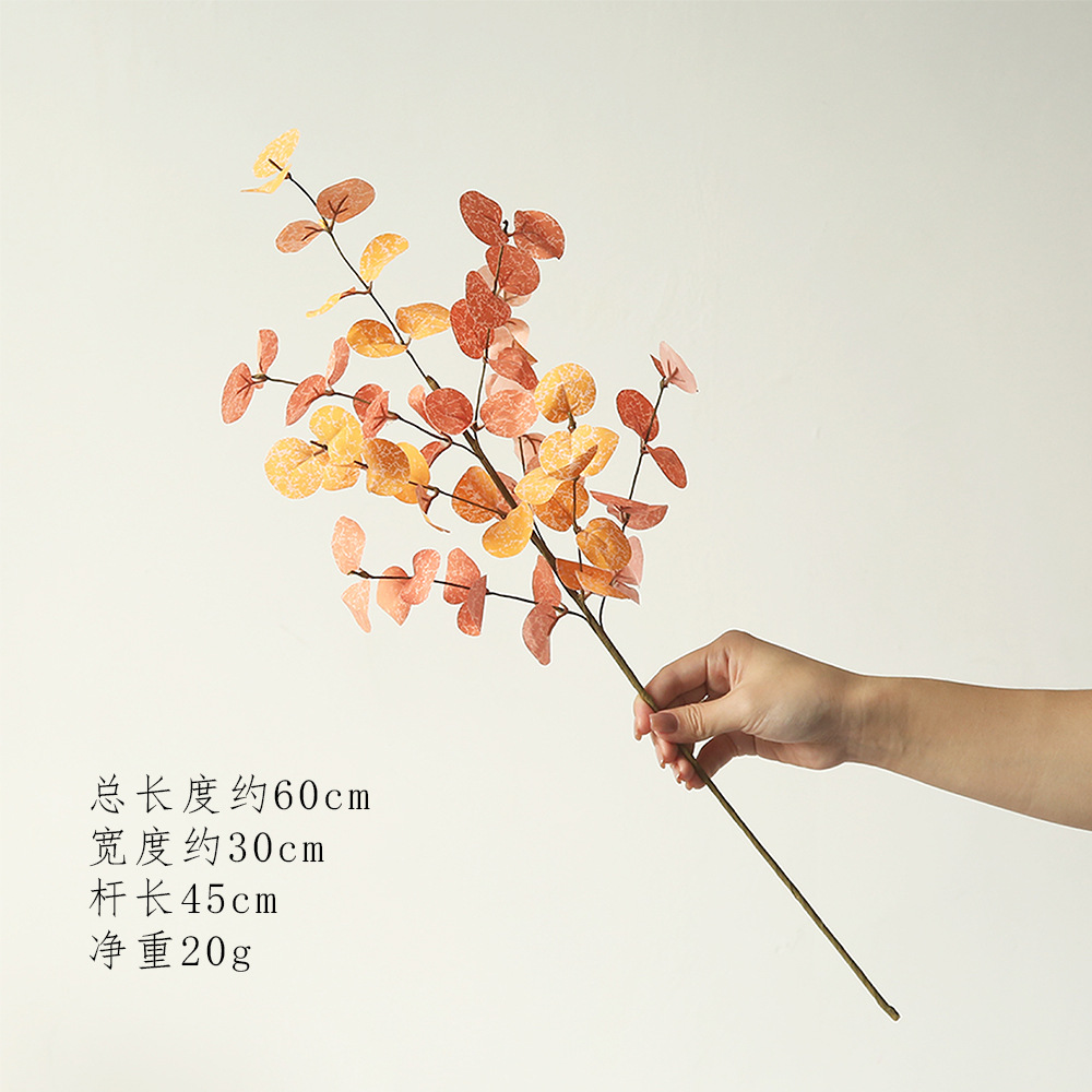 카라멜색상 60cm