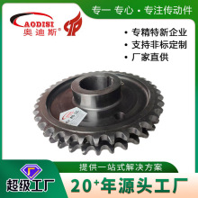 实力厂家AODISI精密传动链轮单双排双节距齿轮 单排双排不锈钢链