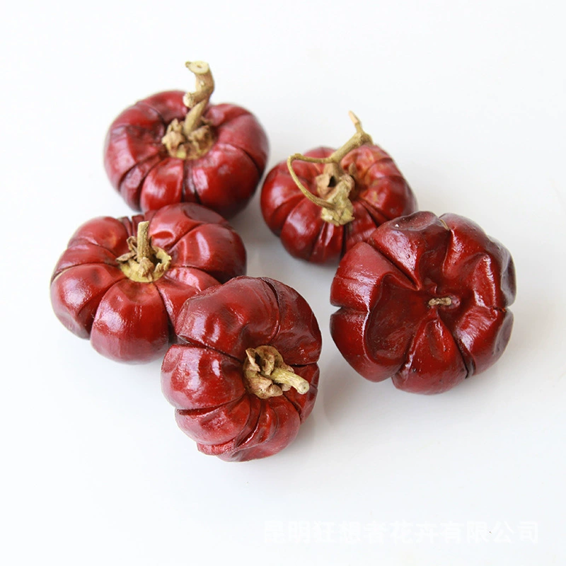 Dry Flower DIY Materials [Dry Fruit] Madman Sommelier Candle Plant Simagon Handmade Class Dry Flower Dry Branches Material