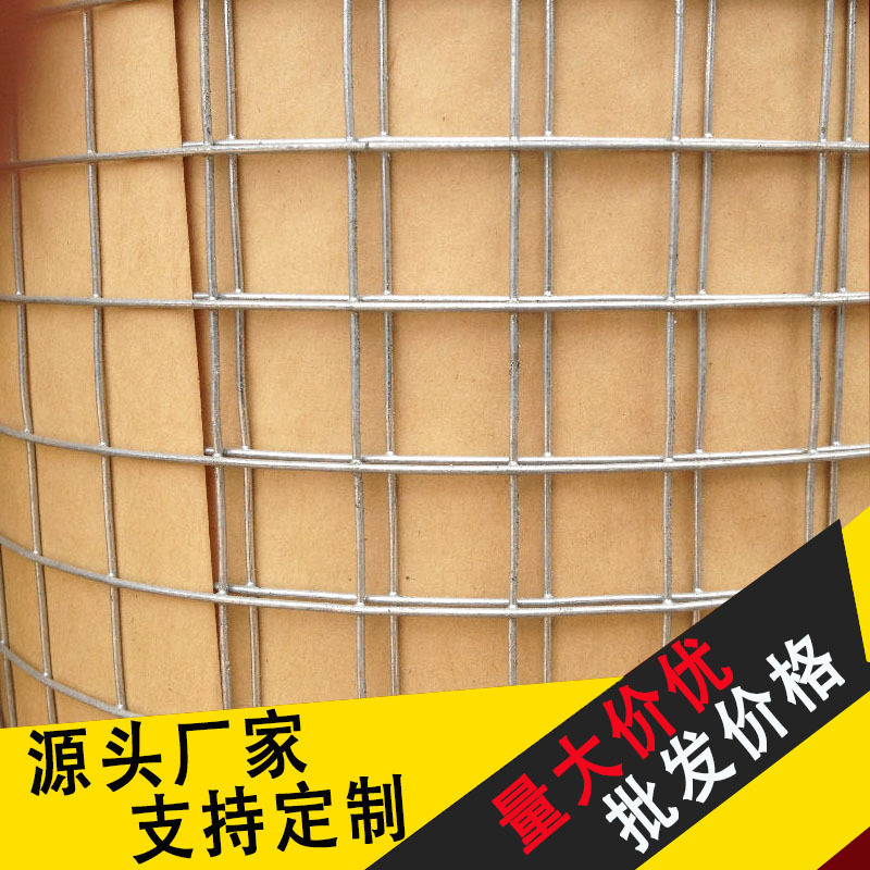 热镀锌电焊网内外抹墙抹灰镀锌钢丝网防裂铁丝网养殖焊接防鼠网片