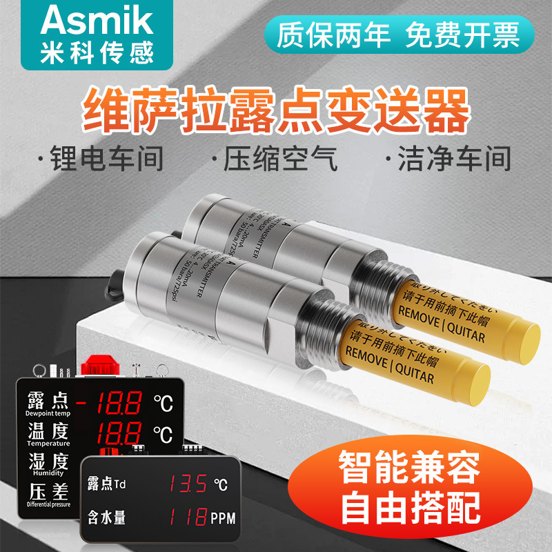 邦特尔显示屏露点仪变送器维萨拉DMT143温湿度传感器探头RS485锂