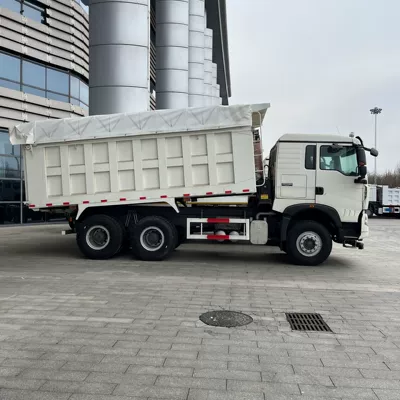 Used Eight-Wheel Shaanqi Delong Dump Yük maşınları