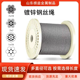 钢丝绳;金属丝绳;其他金属丝