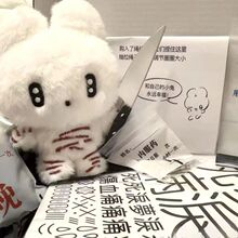 Jell���ȿɐ������Ҹ�С��10cmС���ë�q��ż���В��