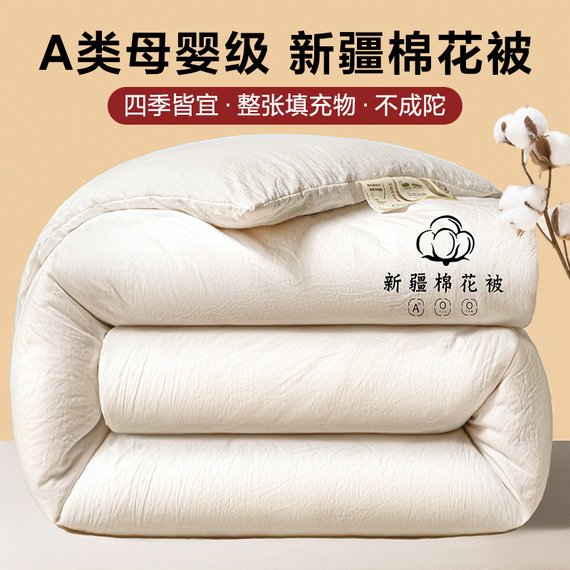 Category a Maternal and Infant Grade Cotton Quilt Thickeneded Winter Quilt Cotton Quilt Core Spring & Fall Quilt Double Dormitory Warm Mattress