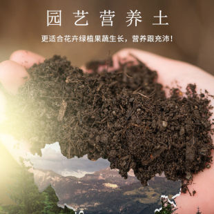 Flower Soil, Special Universal Succulent Planting Soil for Flower Cultivation, Vegetable and Flower Potted Plants, Household Organic Fertilizer Cross-Border