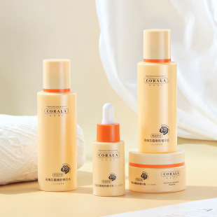 Cosmetic Water Cream Bottle Customized Pet Sleeping Mask Cream Empty Jar 120ml Cleansing Mousse Foam Bottle