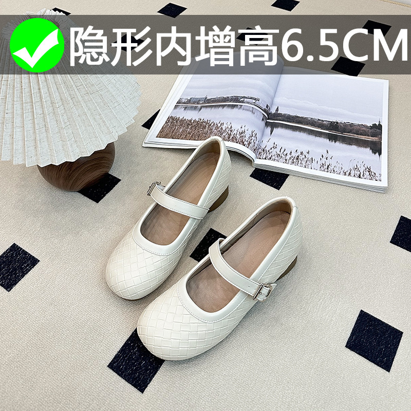 French-Style Plaid Shallow-Mouth Single Shoes for Women, 2026 Autumn New Model, Hidden Heel, Soft Sole, Commuter Style, Single Strap Mary Jane Shoes for Women