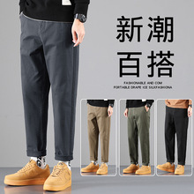�S��ֱ�N2026�����¿�߶����eѝ��ʿֱͲ���폗�����b��ѝ��