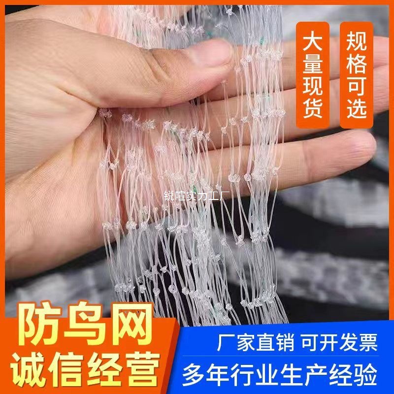 新款尼龙农用防鸟网大棚果园樱桃葡萄梨树鱼塘泥鳅天网养殖防护网