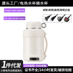 クロスボーダー Amazon 110V ポータブルウォーターカップ電気温水カップ旅行ケトル家庭用電気カップ魔法瓶カップ