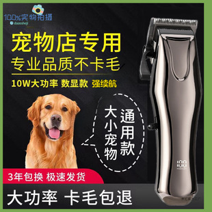 ���I������ë��������Ƽ���ë����Ȯ��������ӌ������؈��