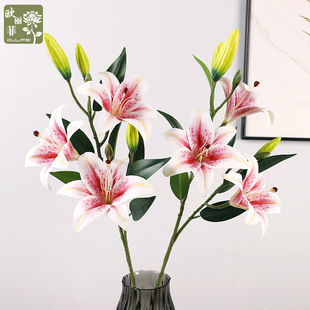 ��֦3D�zƬС�ٺ� �҃ȼҾӾƵ�ٻ��[����c ����6�^��ˮ�ٺϻ�