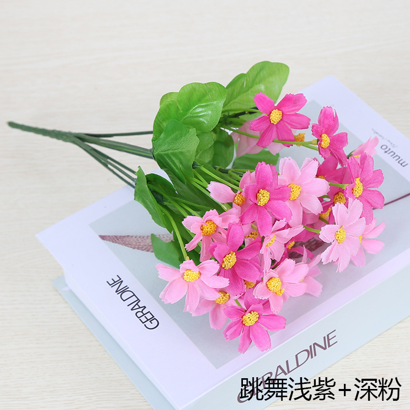 Crisantemo danzante-rosa + rosa oscuro