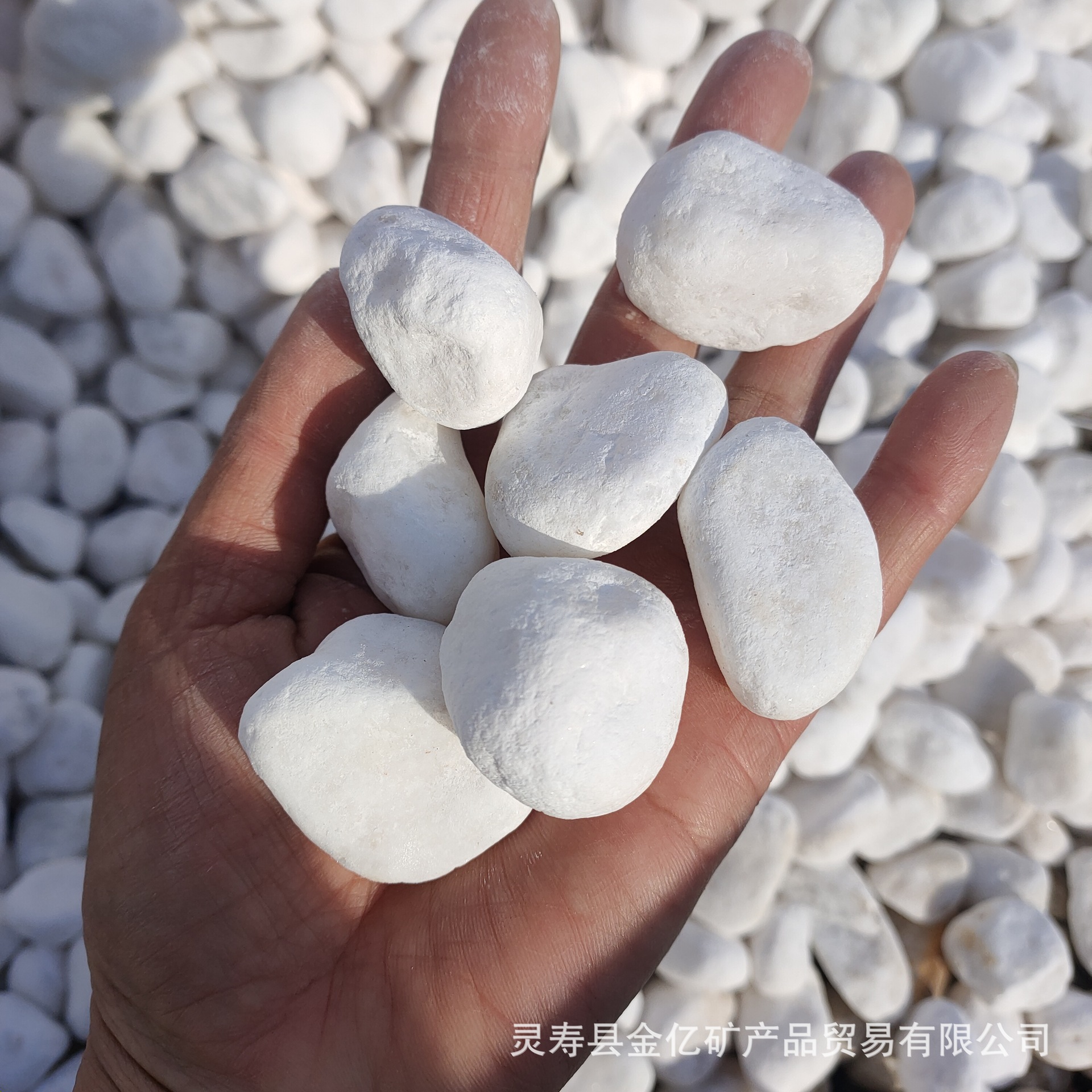 4cee3a20a6d7ad035e68e613f4fa37