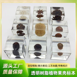 树脂工艺品;标本;钥匙扣及钥匙扣配件