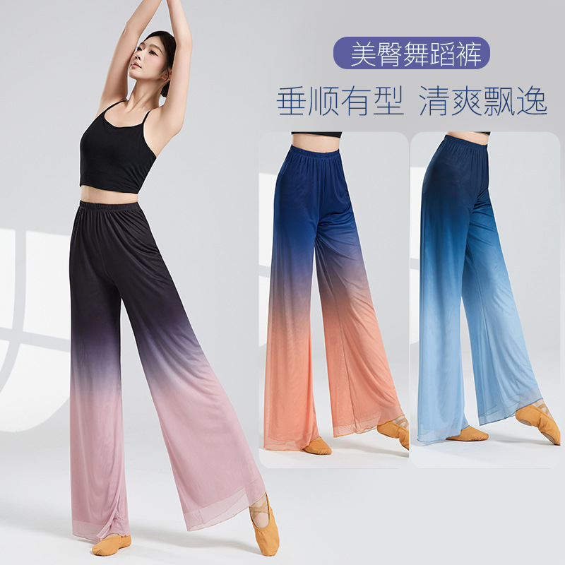 モダンダンスパンツ メッシュパンツ ゆったりワイドパンツ 中国風 エレガント クラシックダンスパンツ ダンスパフォーマンスパンツ グラデーション|undefined