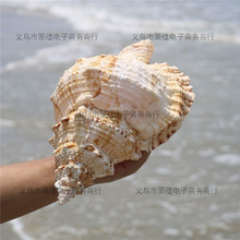 ؐ�����ݺ���ɺ����ؐ�~���쾰�b�Ʒ��ؐ�~�ľ�з��Q���M��