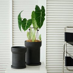 Exported to South Korea karnezcen green plant potted Nordic ins tall carbon black breathable cement flower pot with tray