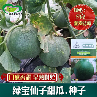 �G��������ϷN�� �r��ˈ@�����̓��ش�GƤ���������������