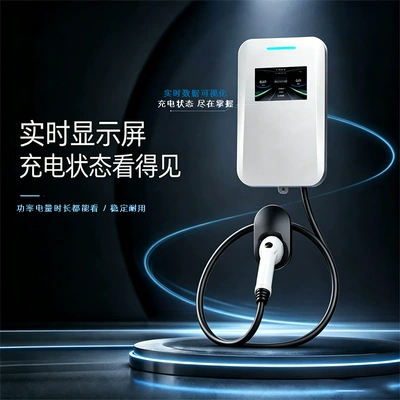 Elektrikli avtomobil şarj cihazları for Home Use, Slow