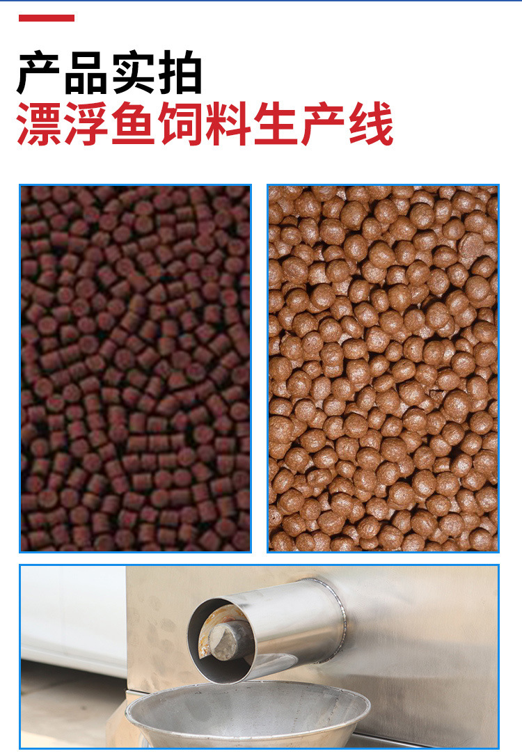 漂浮鱼饲料生产线10_09