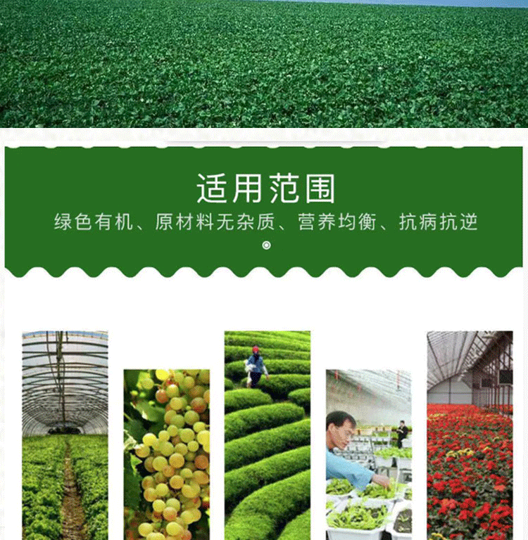详情1-8_09.gif