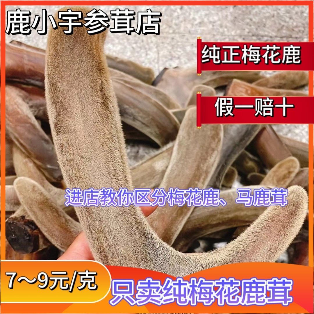 吉林梅花鹿头茬茸干鹿茸二杠整枝鹿茸整根带血干鹿茸片可磨鹿茸粉