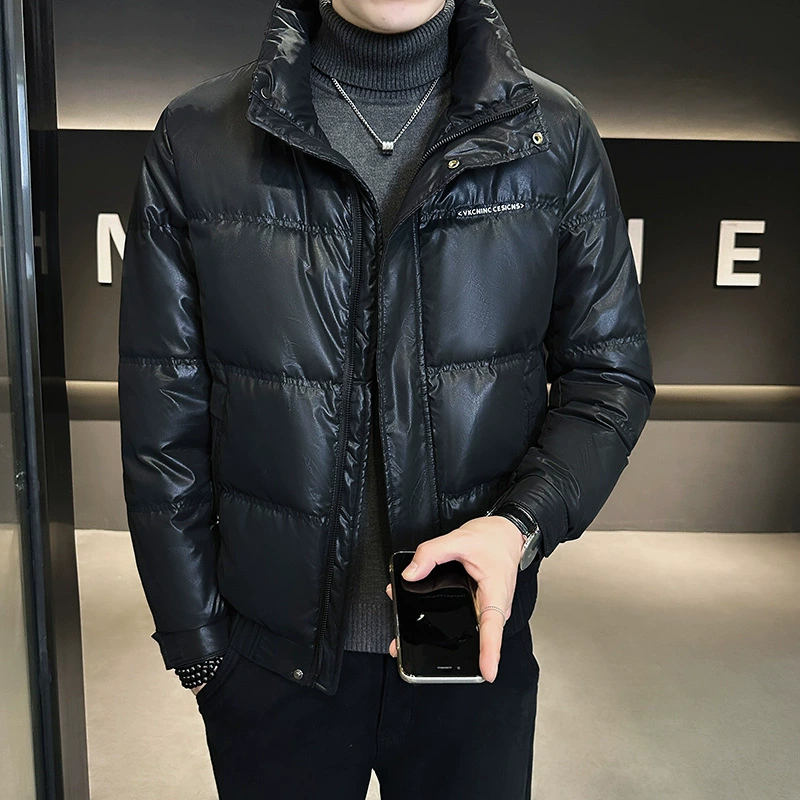 95665-L-4XL стиль магазина простой классический мужской однотонный вышитый воротник-стойка белый утиный пуховик