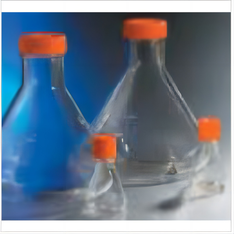 431144 Corning康宁250ml三角培养瓶 31mm直颈瓶 透气盖