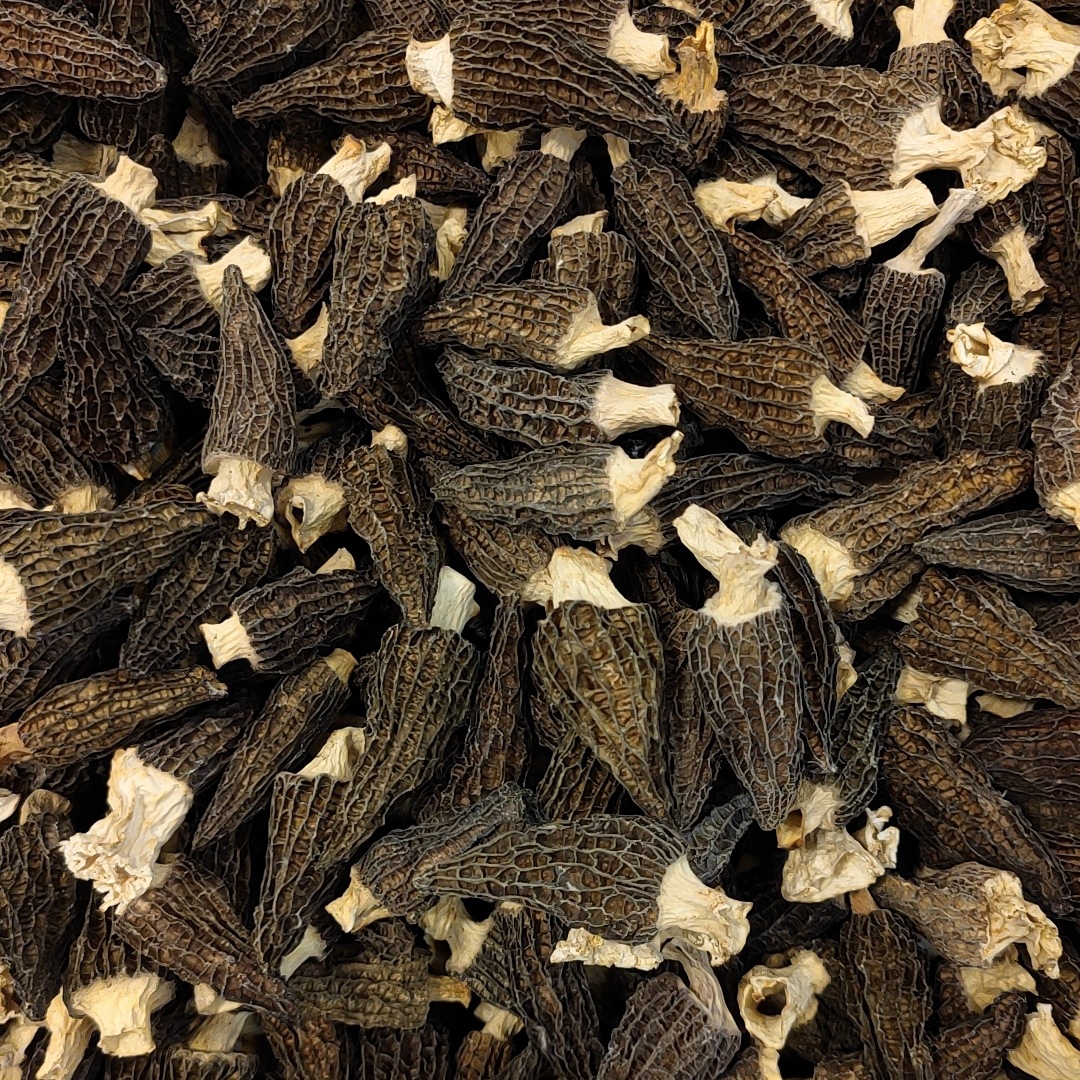 32f5946bd50b6538cb284c64a11526