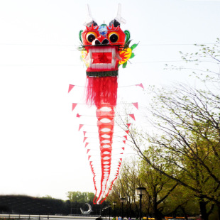Undertake Large-Scale Kite Exhibition Projects and Customize Large-Scale Kite Park Lighting. Installation Can Be Carried Out on Site
