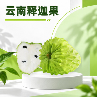 �����ȹ� ���l���l150-450gС�д������֦�r����b���rˮ��