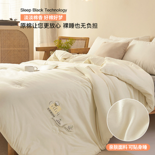 Xinjiang Cotton Quilt Spring & Fall Quilt Winter Quilt Student Dormitory Mattress Quilt Core Thickeneded Warm Summer Cool Air-Conditioned Quilt