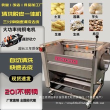 机猪蹄荸荠花生红枣毛脱生姜辊刷清洗头去皮萝卜地瓜魔芋土豆莲藕