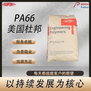 Zytel 132F NC010 ����PA66 �ɺ˻�, ����66
