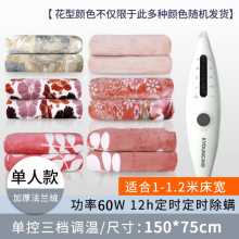 彩阳电热毯双人双控调温单人床上学生宿舍电褥子可调温四档电暖