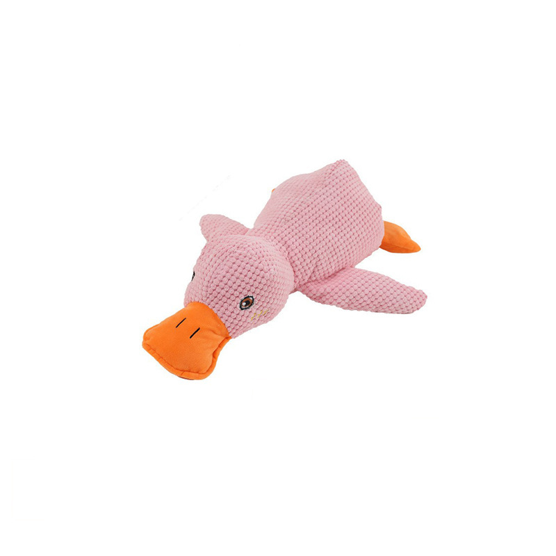 핑크 트럼펫(BB라고 함)