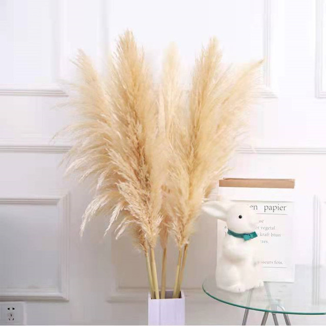 大芦苇灰色净色大蒲苇ins欧美风轻奢壁炉装饰用高端亚马逊跨境热