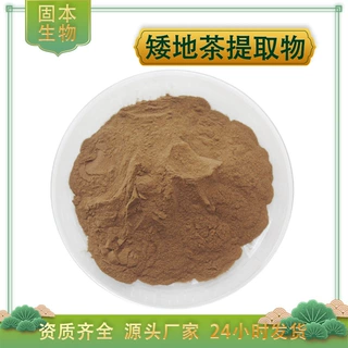 矮地茶提取物水溶矮地茶粉平地木/地茶/紫金牛提取物厂家批发包邮