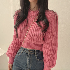 韓国版減齢ピンクの泡袖の柔らかいモチモチのセーターの女性の秋冬のファッションのお姉さんの風のゆったりしているプルオーバーのニットの上着