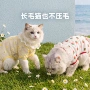 夏季四脚透气田园衣服