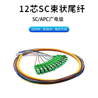 广电级SC/APC12芯束状尾纤 方头 单模光纤跳线 0.9mm线径品质保证
