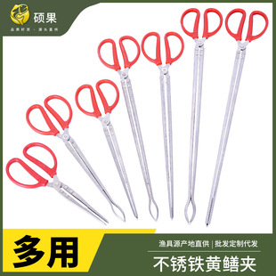 �S�X�A���q�A���r�A�~�A�๦�ܼӹ̊A��ʰ��A�����A���S�X�Q����