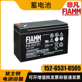 FIAMM非凡SMG/S 1000光伏太阳能单体蓄电池2V81H 10 HRS蓄电池非