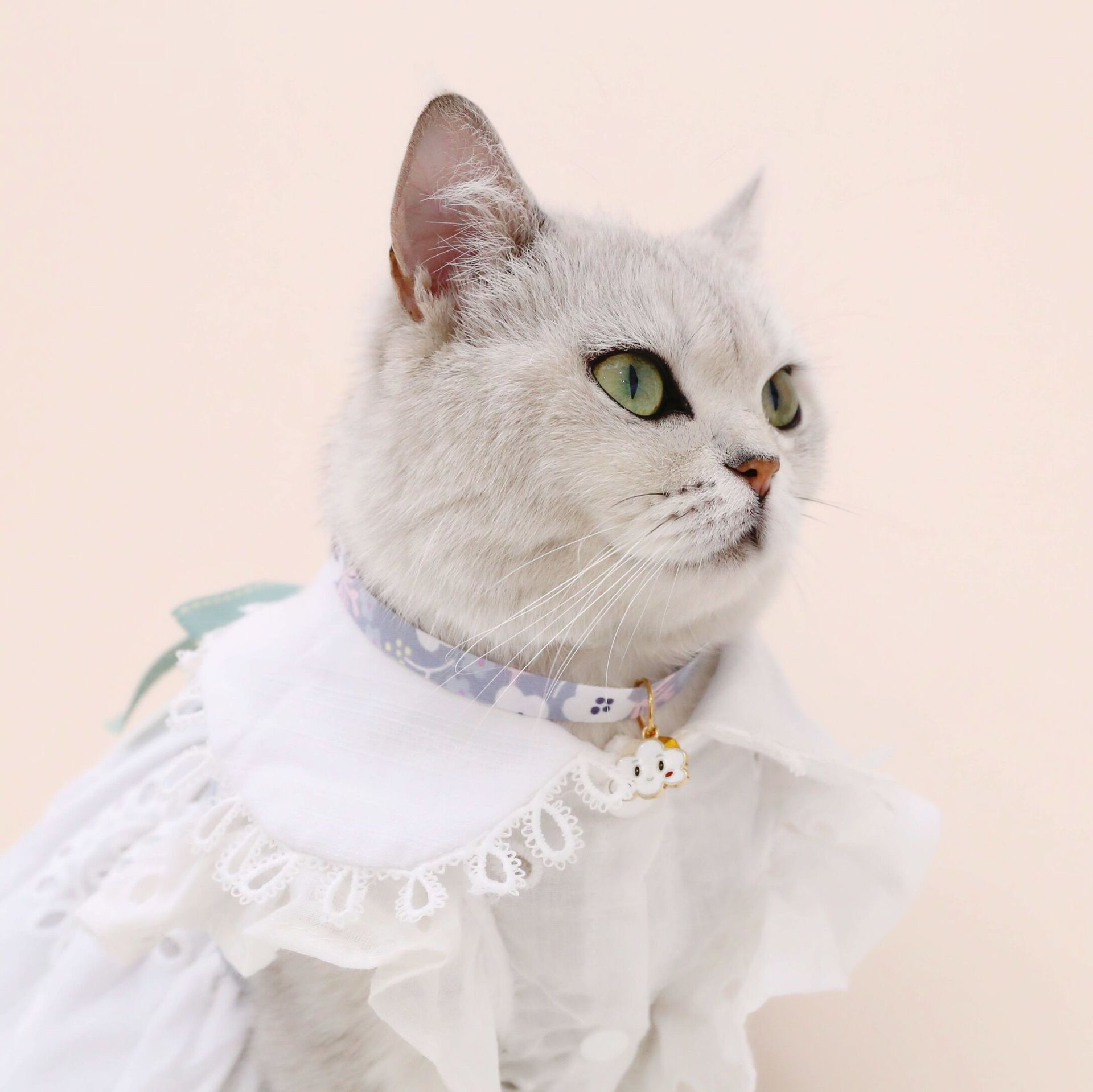 Pet Collar Cloud Rainbow Adjustable Bell Safety Buckle Cat Dog Collar