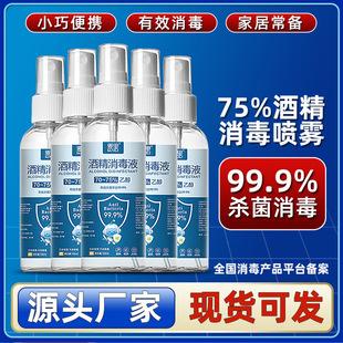 75% Alcohol Spray Disposable Sterilization Ethanol Disinfectant Spray Portable Clean Household Quick Drying Wholesale