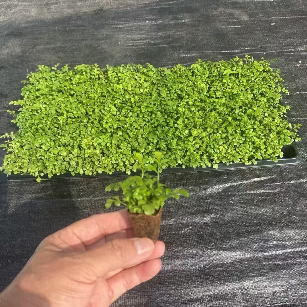 360fc47235806bbb4427c18e13cdd5